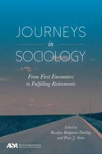 bokomslag Journeys in Sociology