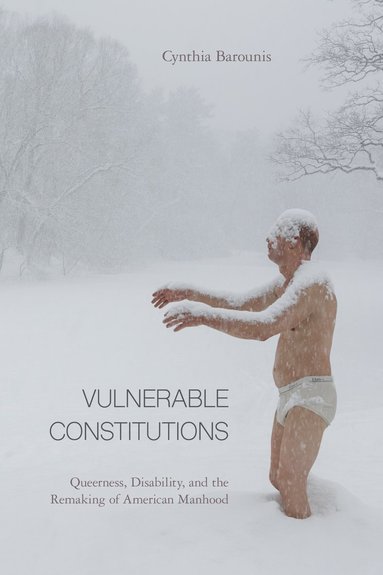 bokomslag Vulnerable Constitutions