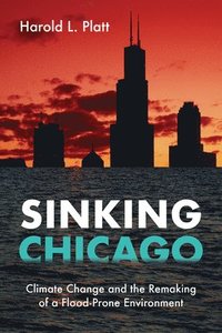 bokomslag Sinking Chicago