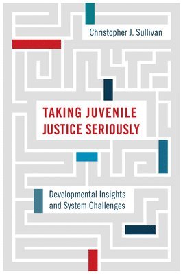 Christopher J. Sullivan - Taking Juvenile Justice Seriously, Inbunden