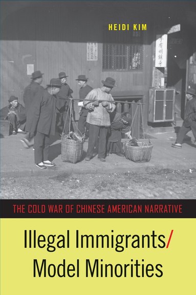 Heidi Kim - Illegal Immigrants/Model Minorities, Inbunden