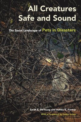 Sarah E. DeYoung, Ashley K. Farmer, Sarah E DeYoung - All Creatures Safe and Sound, Häftad