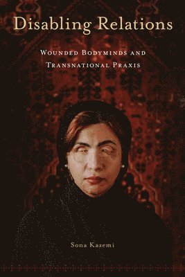 bokomslag Disabling Relations: Wounded Bodyminds and Transnational PRAXIS