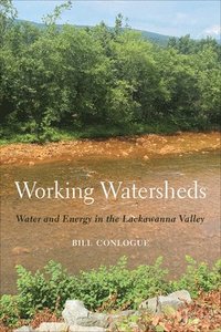 bokomslag Working Watersheds