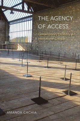 bokomslag Agency of Access