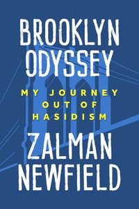 bokomslag Brooklyn Odyssey