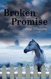 bokomslag Broken Promise