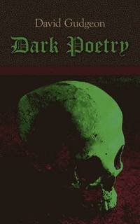bokomslag Dark Poetry