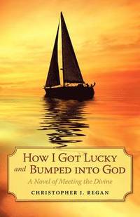 bokomslag How I Got Lucky and Bumped into God