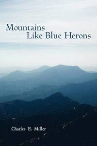 bokomslag Mountains Like Blue Herons