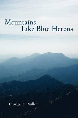 Mountains Like Blue Herons 1