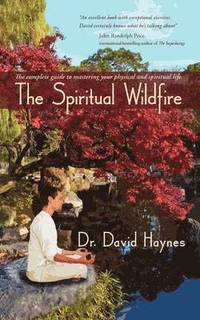 bokomslag The Spiritual Wildfire