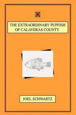 Extraordinary Pupfish of Calaveras County
