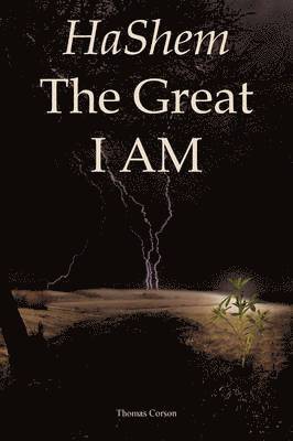 bokomslag HaShem The Great I AM