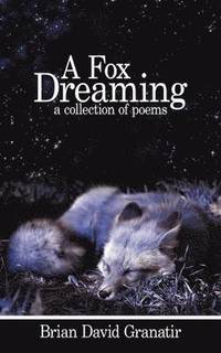 bokomslag Fox Dreaming