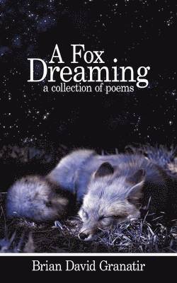 Fox Dreaming 1