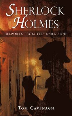 bokomslag Sherlock Holmes, Reports From The Dark Side