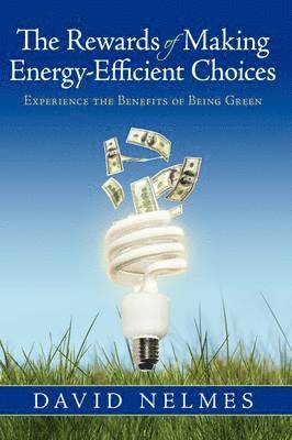 David Nelmes - Rewards of Making Energy-Efficient Choices, Häftad