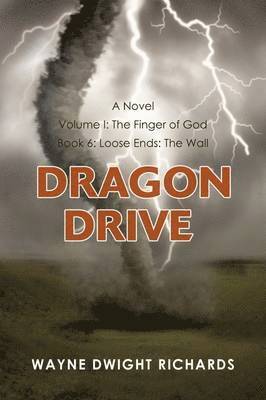 bokomslag Dragon Drive Volume I