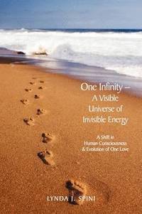 bokomslag One Infinity; A Visible Universe of Invisible Energy