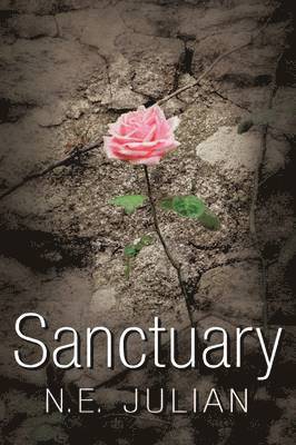 Sanctuary 1