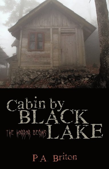 bokomslag Cabin by Black Lake