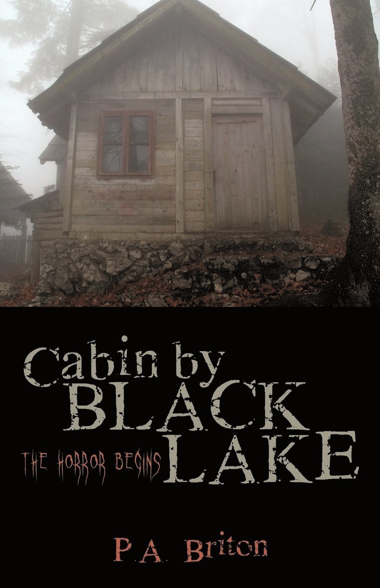 Cabin by Black Lake 1