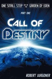 bokomslag Call of Destiny