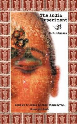 bokomslag India Experiment