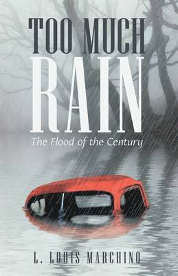 Too Much Rain 1