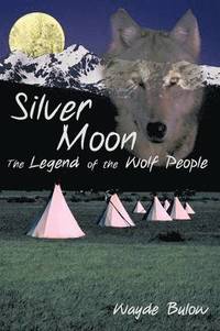 bokomslag Silver Moon