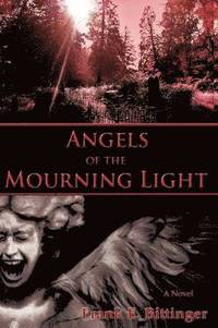 bokomslag Angels of the Mourning Light