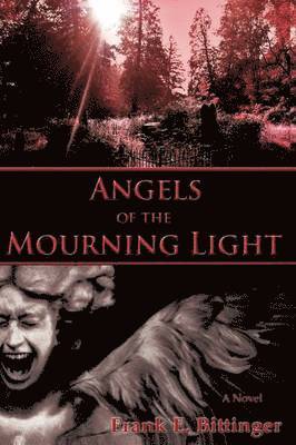 bokomslag Angels of the Mourning Light