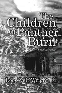 bokomslag Children of Panther Burn