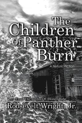 bokomslag Children of Panther Burn