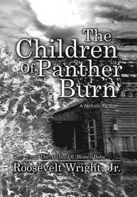 bokomslag Children of Panther Burn