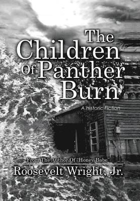bokomslag Children of Panther Burn