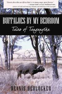 bokomslag Buffaloes by My Bedroom