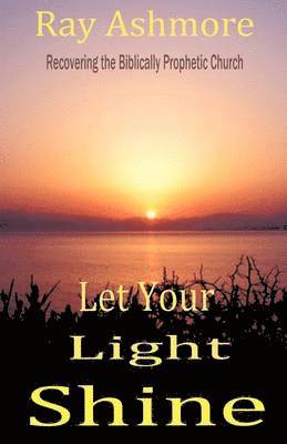 bokomslag Let Your Light Shine