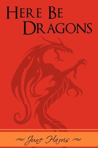 bokomslag Here Be Dragons