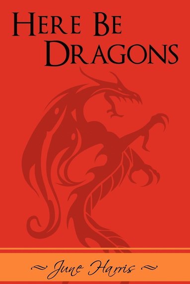 bokomslag Here Be Dragons