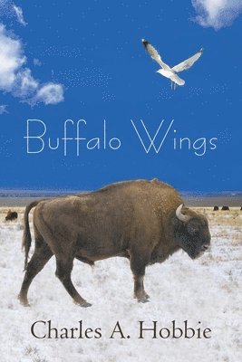 Buffalo Wings 1