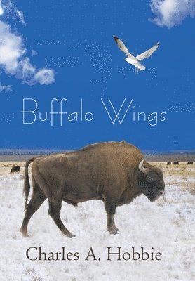 Buffalo Wings 1