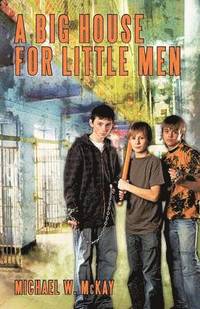 bokomslag Big House for Little Men