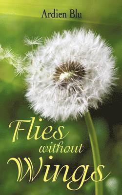 Ardien Blu - Flies Without Wings, Häftad