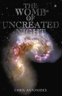 bokomslag The Womb of Uncreated Night