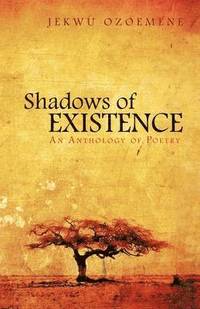 bokomslag Shadows of Existence