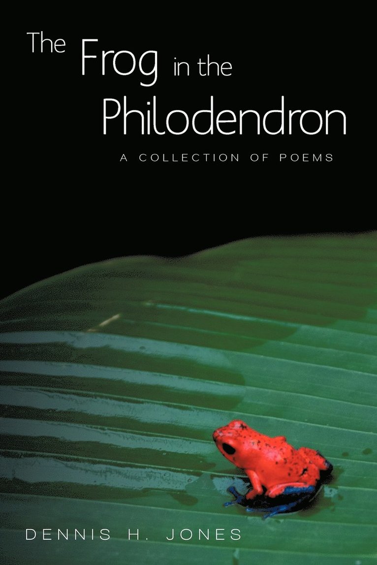 Frog in the Philodendron