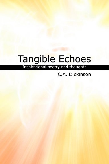 bokomslag Tangible Echoes