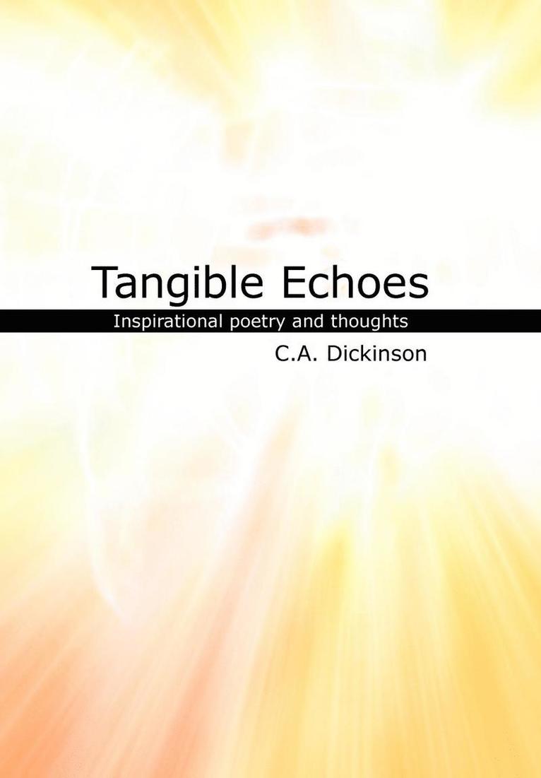 Tangible Echoes 1